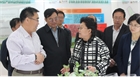 市委副書記、代市長艾麗華來我公司考察、調(diào)研
