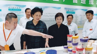 原中共中央政治局委員、國務(wù)院副總理劉延?xùn)|視察我公司